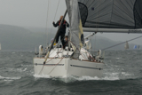 animal gbr1952l whw12 wed gjmc 2870